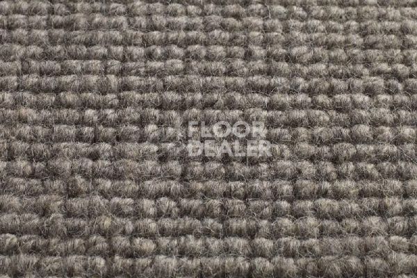 Ковролин Jacaranda Carpets Chandigarh Steel Grey фото 1 | FLOORDEALER